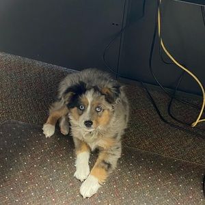 Meet your Posher, Whitney